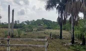 Imagem 2: Vendo dois terrenos na BR 319 km22 e outro na estrada de autazes km02