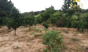 Imagem 6: Lindo sítio 1000m2 em Águas Claras