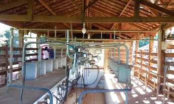 Imagem 6: Sitio em uberaba 24 alqueirão 12.000.000.00 ( ja