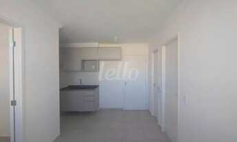 Imagem 4: São Paulo - Apartamento Padrão - Mooca