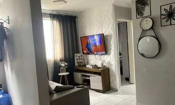 Imagem 4: Alugo ideal samambaia