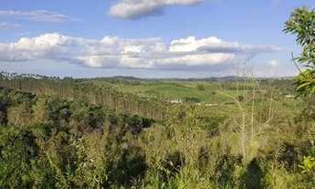 Imagem 2: Lote/Terreno para venda com 500 metros quadrados em Centro - Santa Isabel - SP