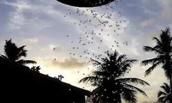 Imagem 4: Casa de Praia 2 em 1 - Pé na Areia - Jacuipe