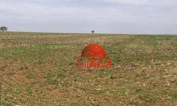 Imagem 4: Excelente Propriedade Rural Taquaritinga-SP