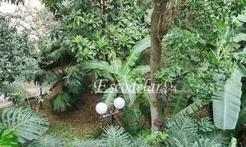 Imagem 4: Apartamento com 2 dormitórios à venda, 54 m² por R$ 369.900,00 - Tucuruvi - São Paulo/SP