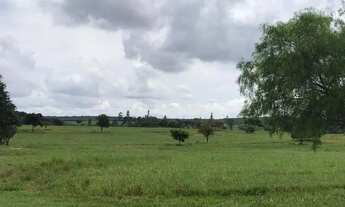 Imagem 3: Lote em Terras de Santa Cristina V De 550mts - Paranapanema