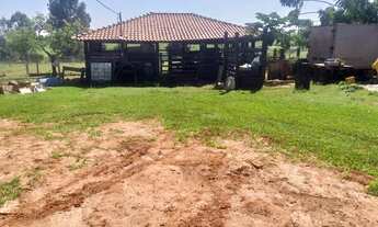 Imagem 4: 1 arqueiro na vila azul São José do Rio Preto