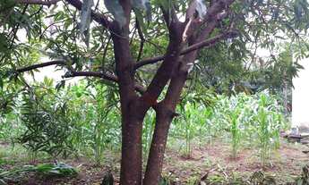 Imagem 3: Terreno à venda, 360 m² por R$ 1.200.000 - Varginha (centro) - Juatuba/MG I NOTTUS IMÓVEIS