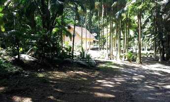 Imagem 5: Chácara com 3 dormitórios à venda, 11000 m² - Galera - Canelinha/SC