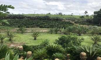 Imagem 3: Terreno à venda em Araquari/SC