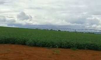 Imagem 4: LINDA FAZENDA EM PLANALTINA - GO