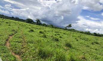 Imagem 2: Fazenda 54 Alq, Indiara-GO