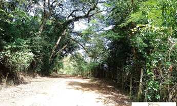 Imagem 2: Linda fazenda em Providência