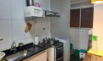 Imagem 4: Jardim das Margaridas com 2