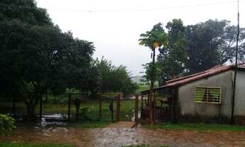 Imagem 5: Fazenda 370 Alqueires 67 Km de Formosa