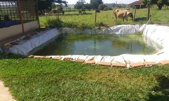Imagem 2: 1 arqueiro na vila azul São José do Rio Preto