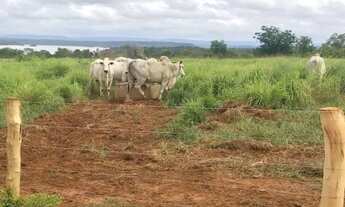 Imagem 6: VENDA Fazenda / sítio com venda por R$80.000.000