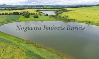 Imagem 4: Fazenda em Avaré, área com 65 alqueires, belas represas (Nogueira Imóveis Rurais