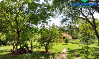 Imagem 7: CAMPO GRANDE - Chácara - CHÁCARA DAS MANSÕES - C. GRANDE, MS