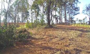 Imagem 2: Terreno Roas Mendes Pinhalzinho