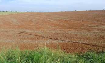 Imagem 4: Sitio em Colorado 2,9 hectares