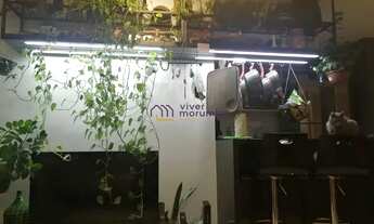 Imagem 5: Belo apartamento