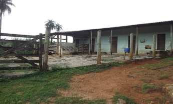 Imagem 5: Fazendinha de 2.5 hectares, Jaboticatubas (Temos varias opções)