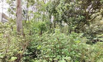 Imagem 7: Terreno à venda, 1440 m² por R$ 289.990,00 - Jardim Santa Paula - Cotia/SP