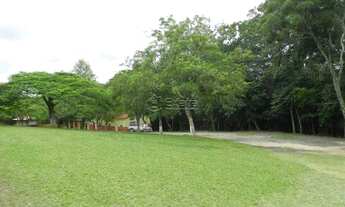 Imagem 3: Sitio para venda em Aparecidinha