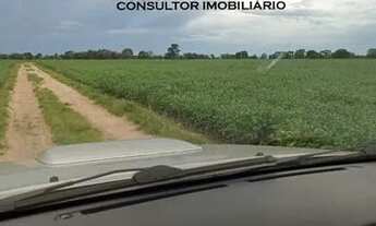 Imagem: Fazenda De 870 Hectares No Estado Do Goiás