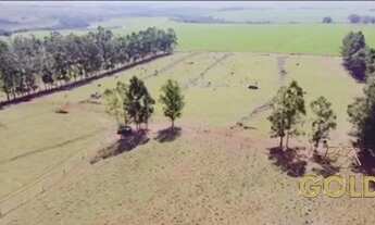 Imagem 2: FAZENDA A VENDA PRÓXIMO A PARANACITY PR