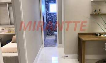 Imagem 6: Lindo apartamento em Vila Rosália