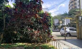 Imagem: CASA TÉRREA - LAPA - SP