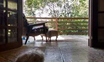 Imagem 6: Vendo Sítio em Paraty - RJ