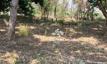 Imagem 2: FAZENDA PARA VENDA EM POXORÉO - MT (CÓD. 256