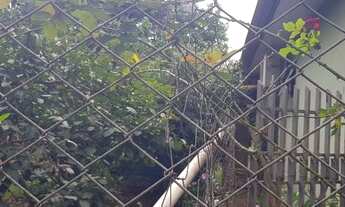 Imagem 2: Chácara 1000m2 com casa de 115 m2 Mandaguaçu-PR