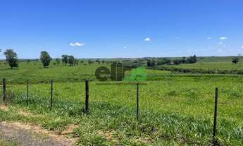 Imagem 6: Fazenda DUPLA APTIDÃO, MONTADA NA PECUÁRIA, 155 alqueires à venda por R$23.250.000,00 - Mu