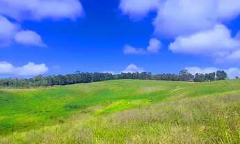 Imagem 7: 03cn-1OH7I20 Terreno / lote com venda por R$60.000