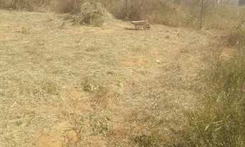 Imagem 2: Lote 26 de setembro troco