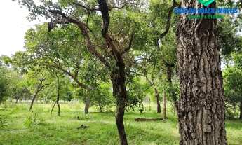 Imagem 2: CAMPO GRANDE - Chácara - CHÁCARA DAS MANSÕES - C. GRANDE, MS