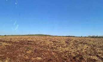 Imagem 4: FAZENDA DUPLA APTIDÃO A VENDA EM MARACAJU MS