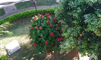 Imagem 2: Sumaré - Apartamento Padrão - Parque Villa Flores