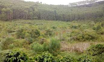 Imagem: Sitio munis freire 5 alqueirers