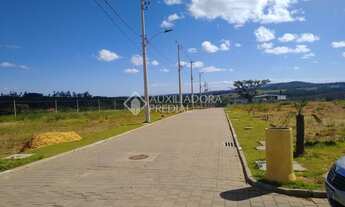 Imagem 3: PORTO ALEGRE - Terreno Padrão - Lomba do Pinheiro