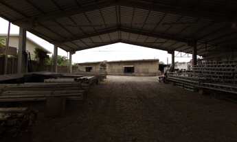 Imagem 2: Para aluguel SANTA MARIA Pavilhão