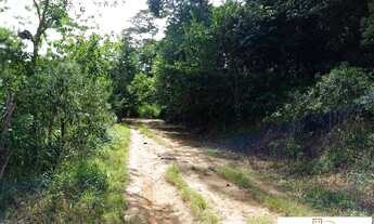 Imagem 4: Linda fazenda em Providência