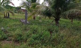 Imagem 2: Vendo área de terra em caroebe vicinal 04 km42