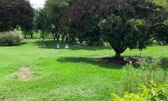 Imagem 4: Linda Chácara à venda