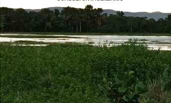 Imagem 5: Fazenda De 870 Hectares No Estado Do Goiás