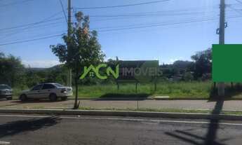 Imagem 4: Estância Velha - Terreno Padrão - Floresta